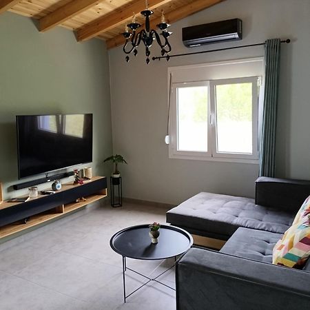 M & M House Βίλα Αγιά Εξωτερικό φωτογραφία